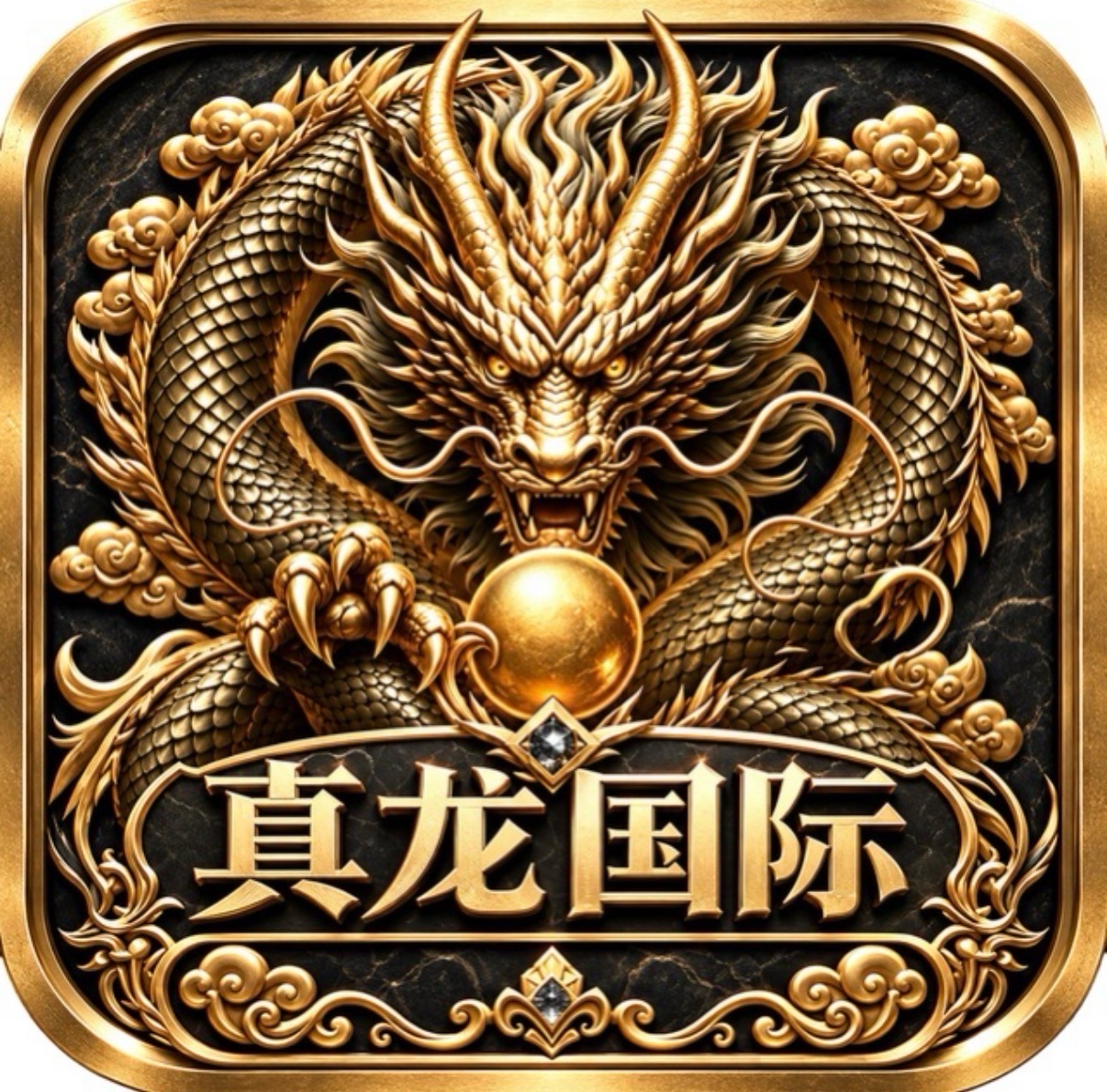 真龙国际
